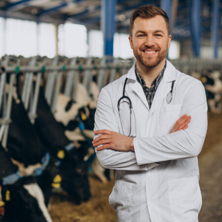 Veterinary in lab robe standing at cowshed